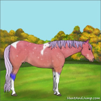Horse Color:Watercolor Silver Buckskin Tobiano 
