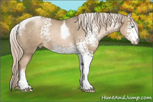 Horse Color:White Spotted Chocolate Palomino Pearl Tobiano 