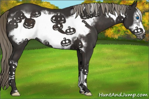 Horse Color:Liver Chestnut Frame