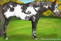 Horse Color:Liver Chestnut Frame 