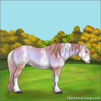 Horse Color:Watercolor White Spotted Red Onyx Tobiano 