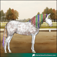 Horse Color:Painted Silver Brown Ice Roan Splash