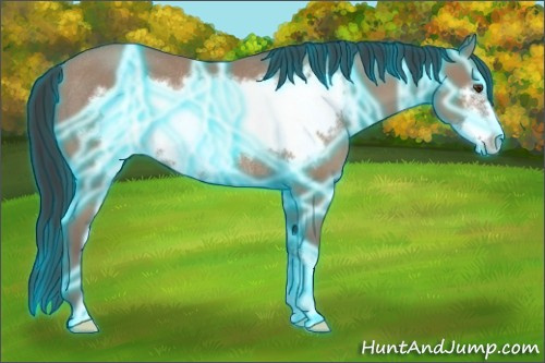 Horse Color:Thunderstruck Classic Champagne Frame Rabicano 