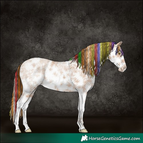 Horse Color:Painted Amber Champagne Ice Sabino 