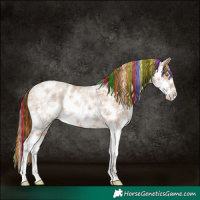 Horse Color:Painted Amber Champagne Ice Sabino 