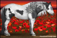 Horse Color:Black Splash Tobiano Frame 