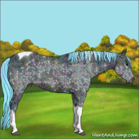 Horse Color:Watercolor Plaid Midnight Brown Ice Tobiano