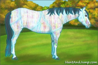 Horse Color:Thunderstruck Plaid Bay Ice Roan