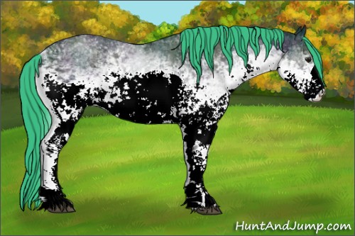 Horse Color:Watercolor White Spotted Midnight Brown Ice
