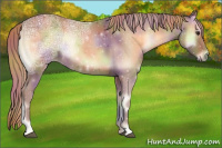 Horse Color:Nacre Red Onyx Ice