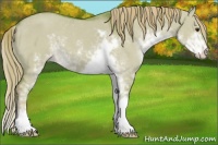 Horse Color:Watercolor Liver Red Dun Sabino 