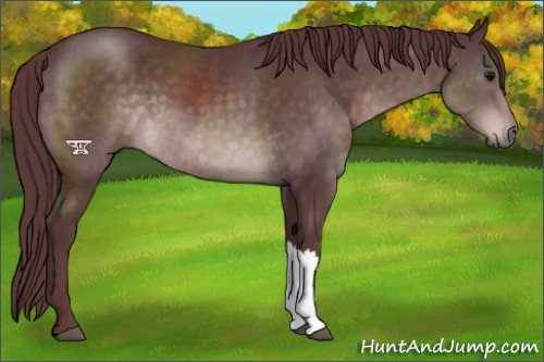 Horse Color:Platinum Chocolate Brown