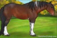 Horse Color:Bay Tobiano Varnish 