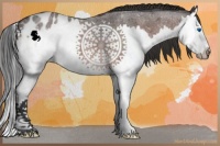 Horse Color:Brown Roan Splash Appaloosa 