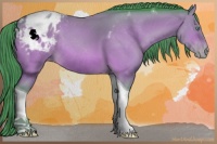 Horse Color:Watercolor Sable Champagne Tobiano Appaloosa Rabicano 