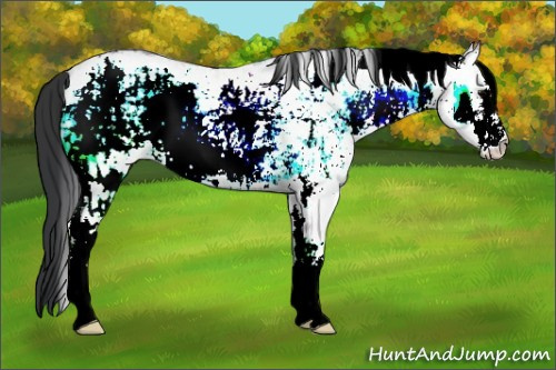 Horse Color:White Spotted Brown Ice Onyx Rabicano 