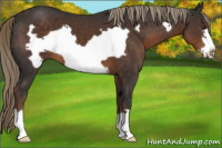 Horse Color:Liver Chestnut Frame