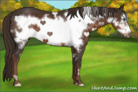 Horse Color:Liver Chestnut Frame 