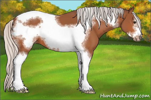 Horse Color:Silver Bay Sabino Tobiano Frame