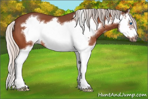 Horse Color:Silver Brown Roan Splash Frame 