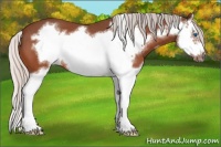 Horse Color:Silver Brown Roan Splash Frame 