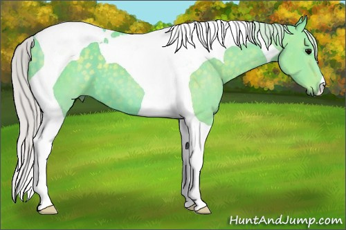 Horse Color:Watercolor Silver Black Tobiano 