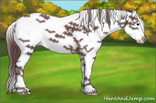 Horse Color:White Spotted Chocolate Brown Splash 