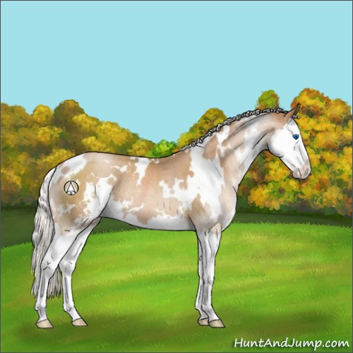 Horse Color:White Spotted Silver Black Pearl Sabino Splash Rabicano 