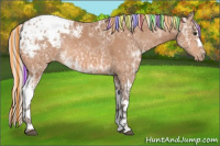 Horse Color:Painted White Spotted Silver Bay Ice Appaloosa Rabicano