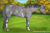 Horse Color:Nacre White Spotted Black Ice 