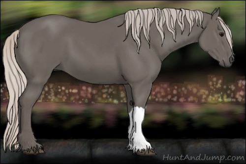 Horse Color:Silver Black 