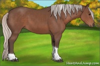 Horse Color:Silver Black Tobiano 