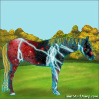 Horse Color:Painted Thunderstruck Bay Ice Roan Splash