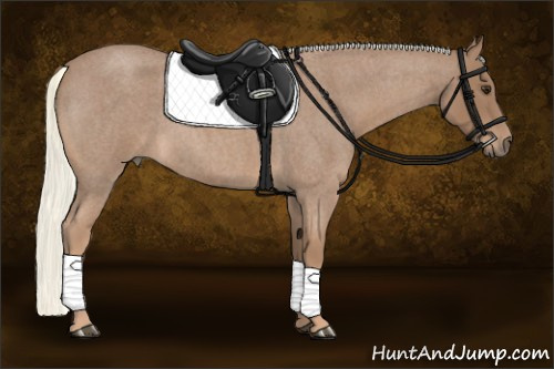 Horse Color:Red Roan Mushroom 