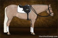 Horse Color:Red Roan Mushroom 