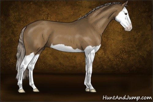 Horse Color:Chocolate Palomino Splash