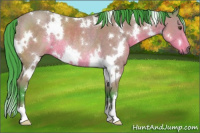Horse Color:Watercolor White Spotted Buckskin Rabicano 