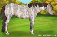 Horse Color:Plaid  Liver Red Ice Roan 