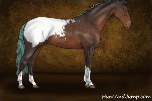 Horse Color:Painted Liver Chestnut Sabino Tobiano Appaloosa