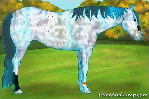 Horse Color:Thunderstruck Bay Ice