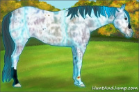 Horse Color:Thunderstruck Bay Ice