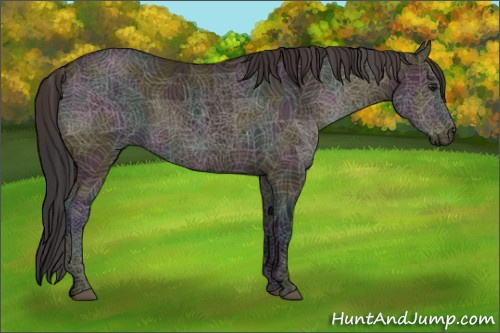 Horse Color:Midnight Bay Ice Dun 