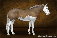 Horse Color:Chocolate Palomino Splash 