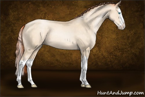 Horse Color:Sable Cream Champagne Pearl Splash 