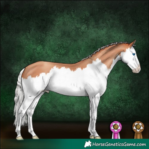 Horse Color:Silver Classic Champagne Splash 