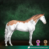Horse Color:Silver Classic Champagne Splash