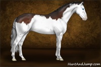 Horse Color:Brown Splash 