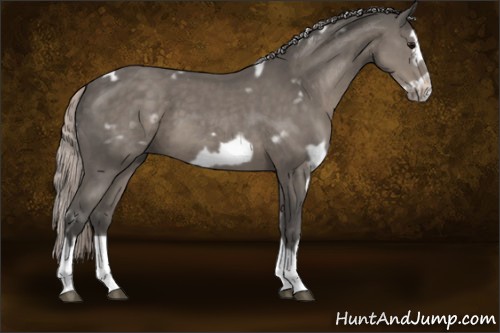 Horse Color:White Spotted Silver Black Splash Frame 