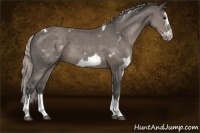 Horse Color:White Spotted Silver Black Splash Frame 