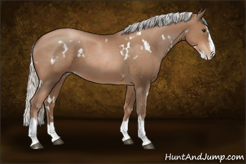 Horse Color:White Spotted Silver Black Pearl Splash